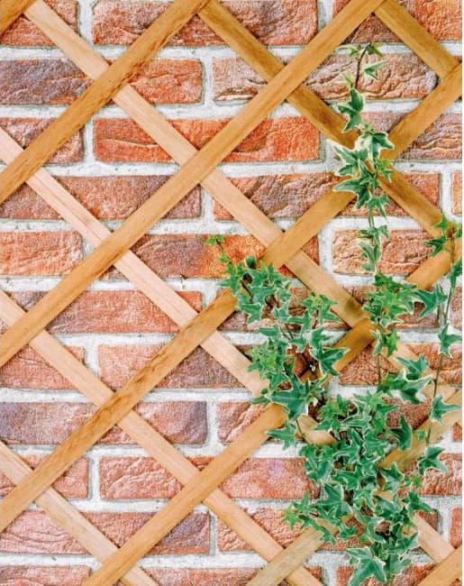 Rešetka, Merdevine Za Puzavice 180 x 60 cm