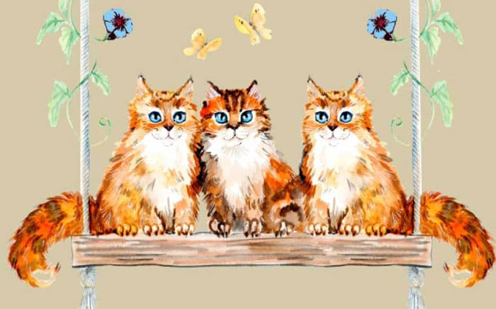 Ekol otirač Candy 14 Animal Mačke 40x70