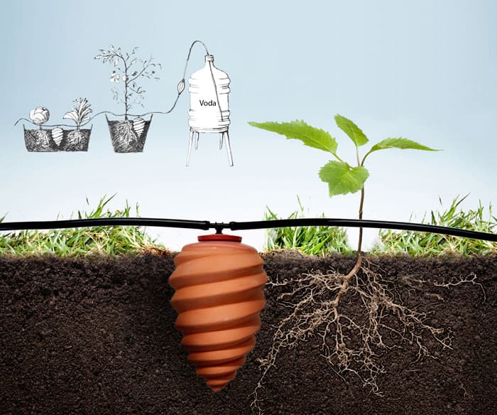 Zalivka Sistem za kapilarno zalivanje šest biljaka u kući ili bašti