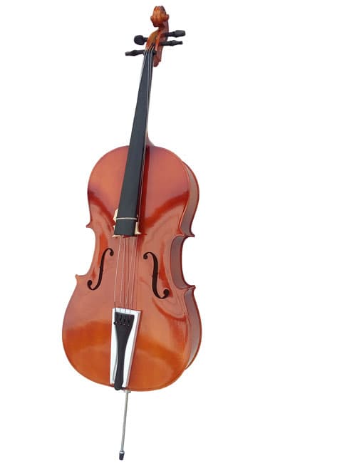 Violončelo Moller 1/4-1/2 1164