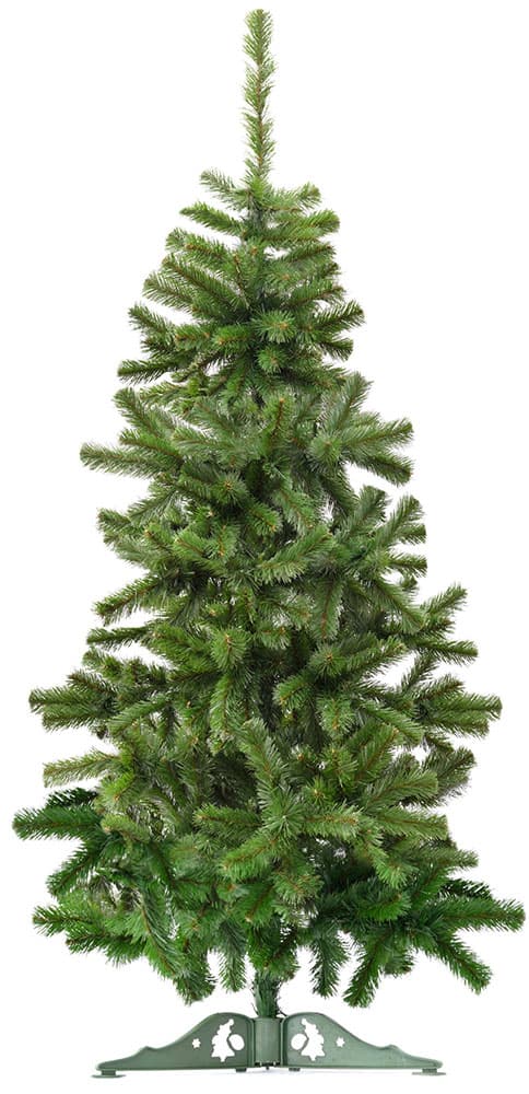 Novogodišnja Jelka NORDMANN QUEEN 210 cm