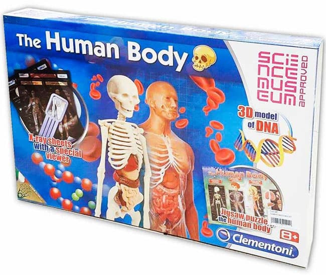 Clementoni Naučni set Ljudsko telo CL61281