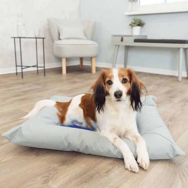 Rashladni jastuk za pse 100x65cm Trixie 28783