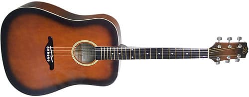 SX DG25-WS akustična gitara