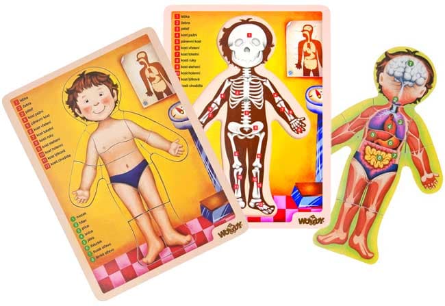 Woodyland Puzle Ljudsko Telo 90324