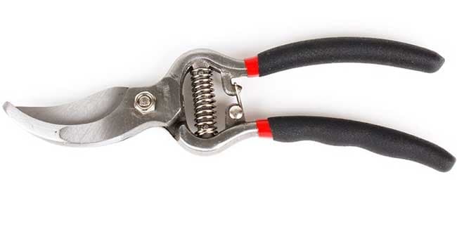 Gartenmax Makaze za vinovu lozu 200mm 0315121