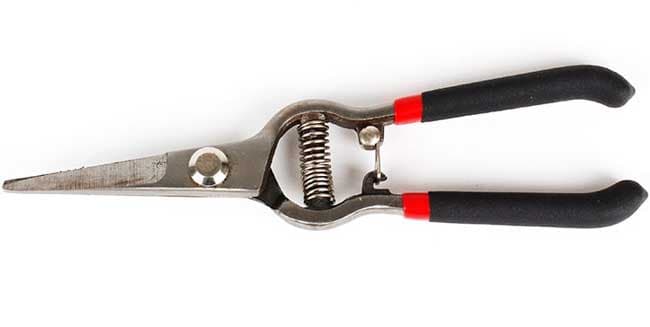 Gartenmax Makaze za vinovu lozu 200mm 0315123