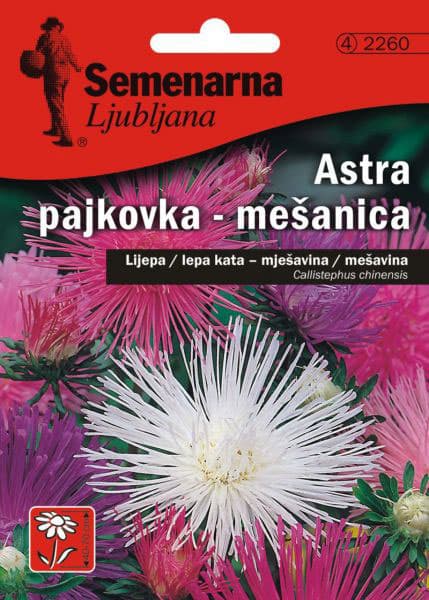 Seme Lepa Kata igličasta - mešavina - Callistephus chinensis spider 2260