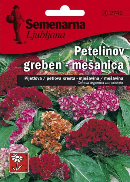 Baštensko cveće Petlova kresta - mešavina - Celosia argentea var. cristata 2742