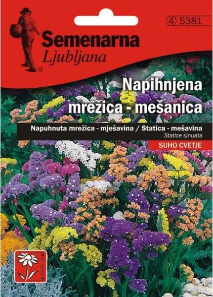 Baštensko cveće Statica - mešavina -  Statice sinuata 5381
