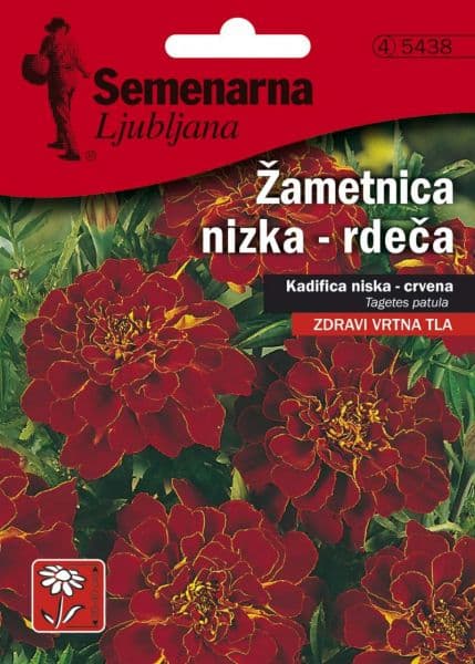 Seme za sadnju - cveće Kadifa niska - crvena -  Tagetes patula 5438