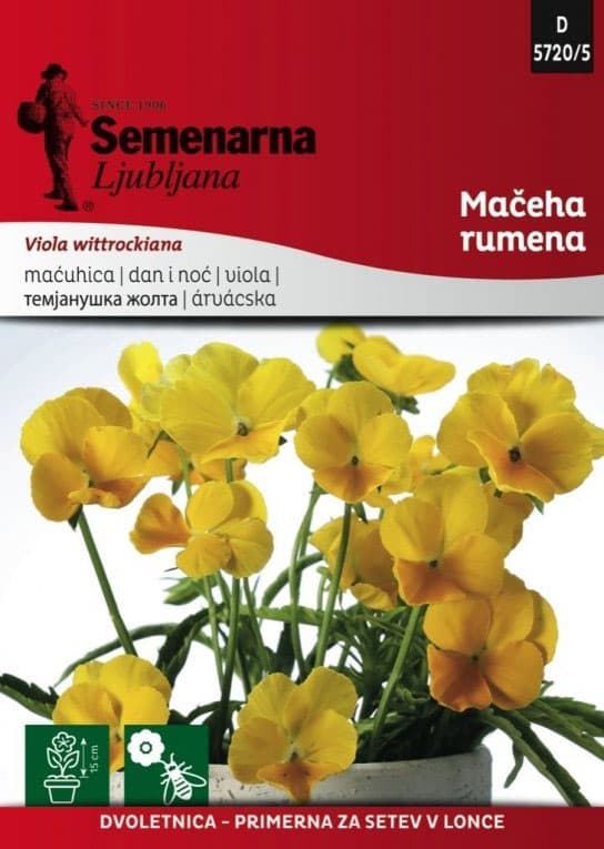 Seme za cveće Dan i noć - žuti -  Viola wittrockiana 5720/5