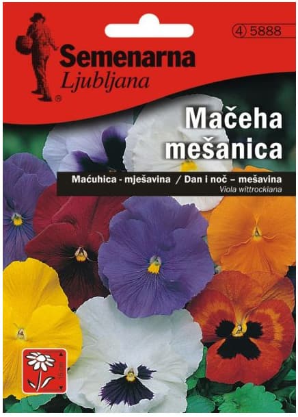 Seme za cveće Dan i noć - mešavina -  Viola wittrockiana 5888