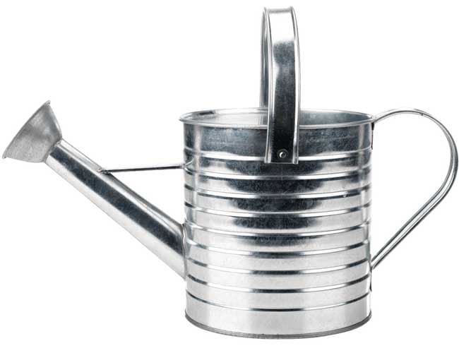 Kantica za zalivanje cveća 2.5 lit.