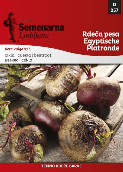 Seme - Cvekla egipatska - Beta vulgaris L. var. conditiva 257