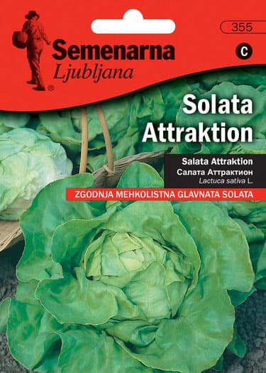 Seme - Zelena salata Atrakcija -  Lactuca sativa L. 355