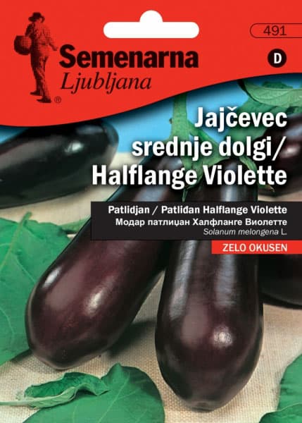 Seme za povrće - Plavi patlidžan - Solanum melongena 491