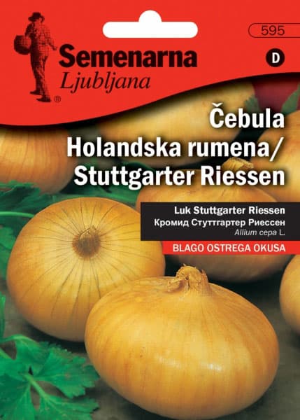 Crni luk - holandski žuti - seme - Allium cepa L. 595