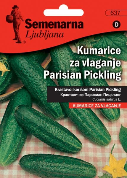 Seme za Kornišone - pariski kornišon - Cucumis sativus L. 637