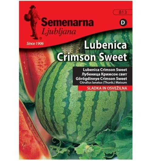 Lubenica Crimson Sweet - seme - Citrullus lanatus (Thunb.) Mansf. 813