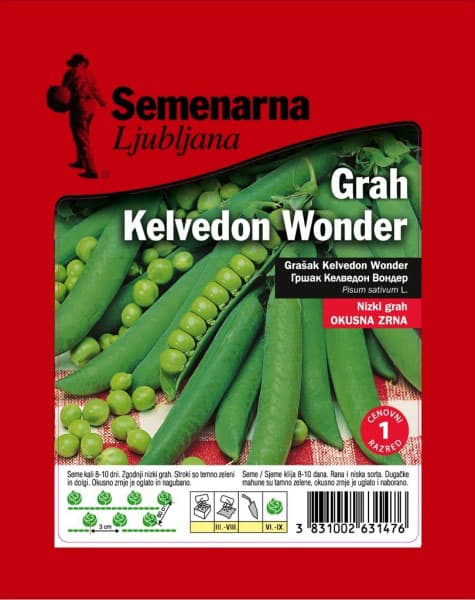 Seme za Grašak kelvedon - Pisum sativum L. 100g
