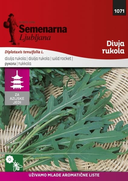 Seme za začinsko bilje -  Divlja rukola - Diplotaxis tenuifolia 1071