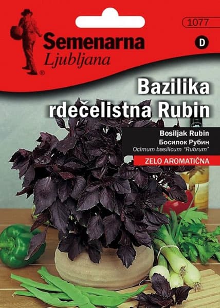 Seme za začinsko bilje - Bosiljak rubin - Ocimum basilicum L. 1077
