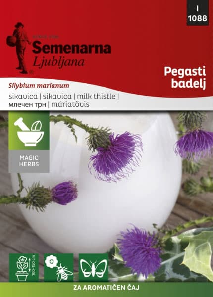 Sikavica - Silybium marianum - seme 1088