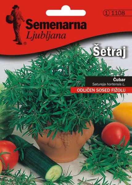 Seme za začin - Čubar - Satureja hortensis L. 1108