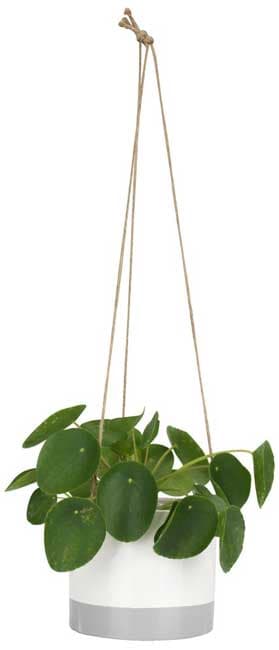 Viseća saksija za cveće Barr 16x14