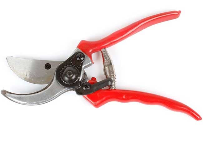 Gartenmax Makaze za orezivanje 0315131