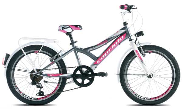 Dečiji bicikl Capriolo Diavolo 200 CITY 20/6HT 916297-11