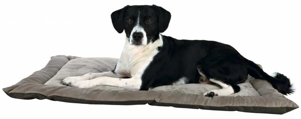 Prostirka za psa King Of Dogs 100cm Trixie 37945