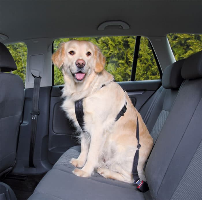 Sigurnosni pojas za psa prilikom vožnje u autu veličina XL Trixie 1293