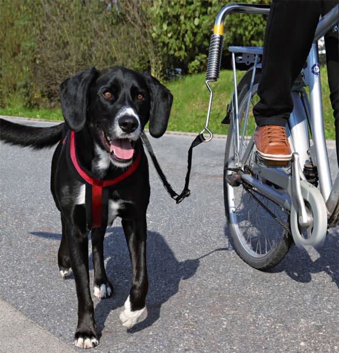 Set za bicikl za velike pse Trixie 1287