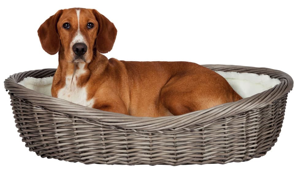 Korpa za spavanje za pse  80cm - sa jastukom - Trixie 28204