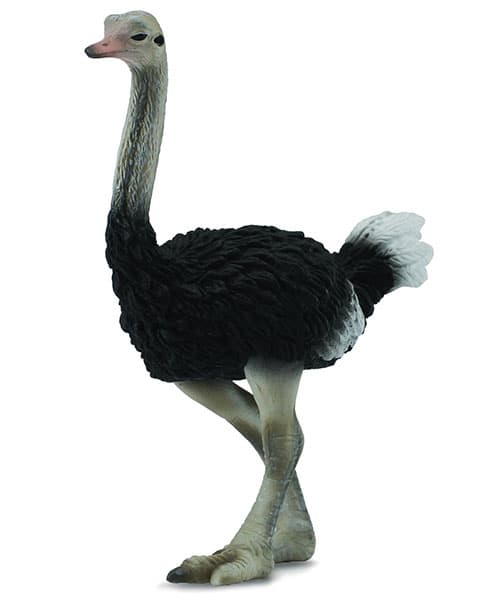 CollectA Figurice Divlje životinje - Noj CT88459