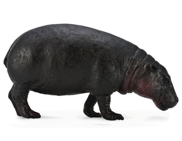 CollectA Figure Divlje životinje - Patuljasti nilski konj CT88686