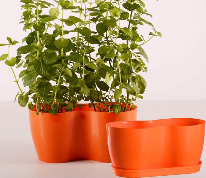 Dupla saksija za cveće Lady Narandžasta 2x14cm