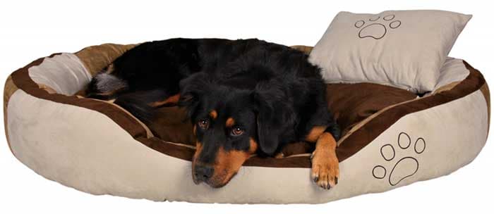 Trixie Krevet za pse Bonzo beige 100cm 37723