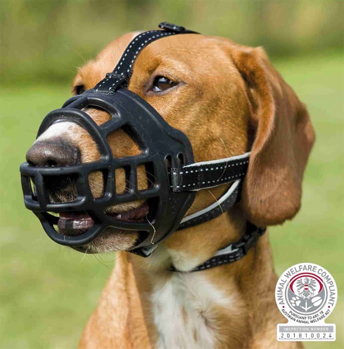 Silikonska korpa za njušku veličina XL Flex Trixie 17616