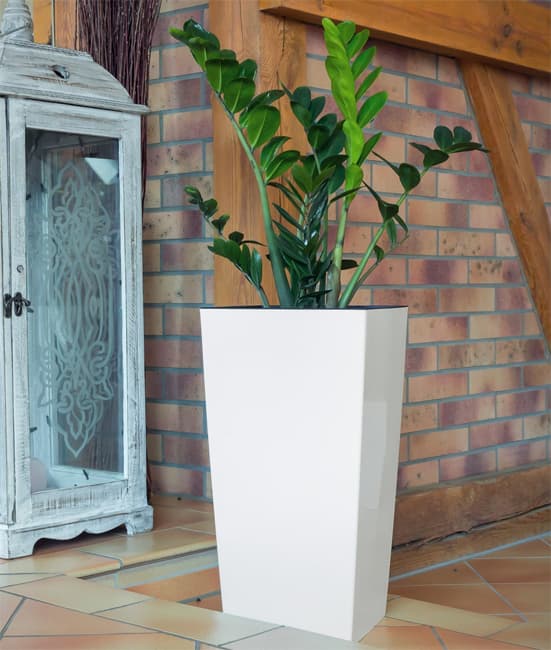 Prosperplast Saksija za cveće sa uloškom Urbi Square 50cm Bela