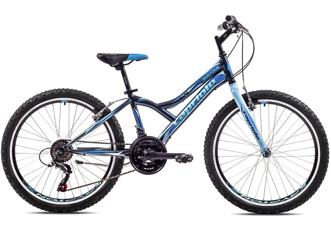 Dečiji bicikl Capriolo Diavolo 400 919301-13