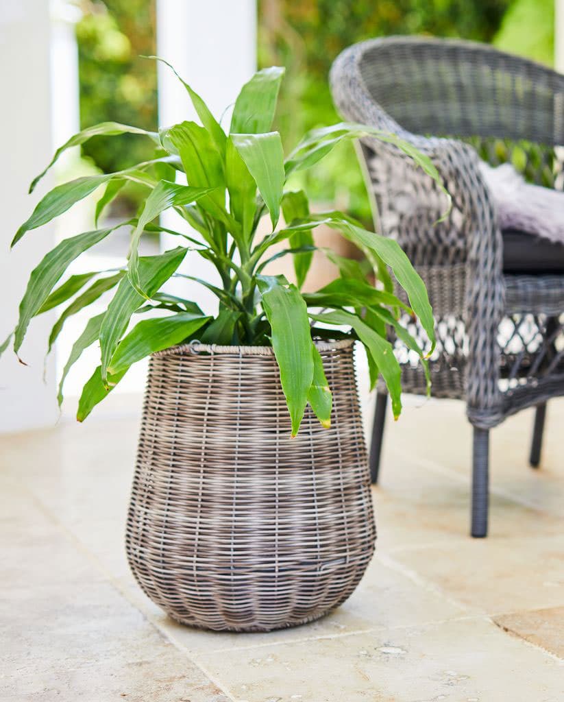 Saksije Od PE Ratana - Komplet od 2 Komada