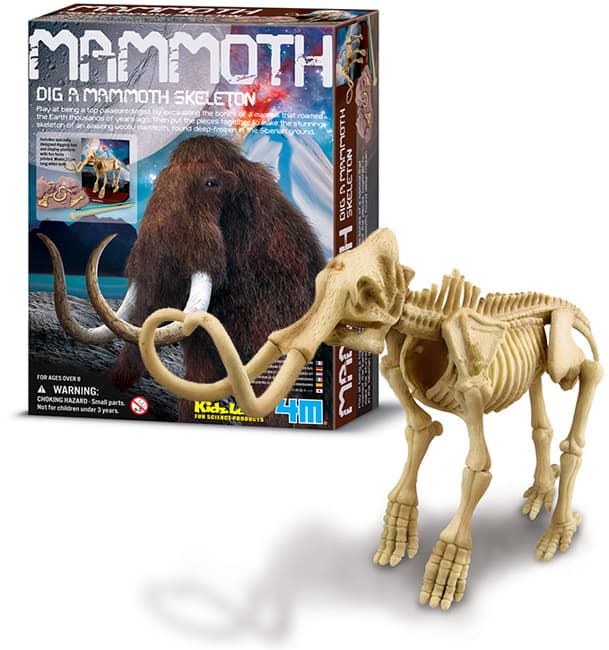 Iskopaj fosil mamuta 4M 4M03236