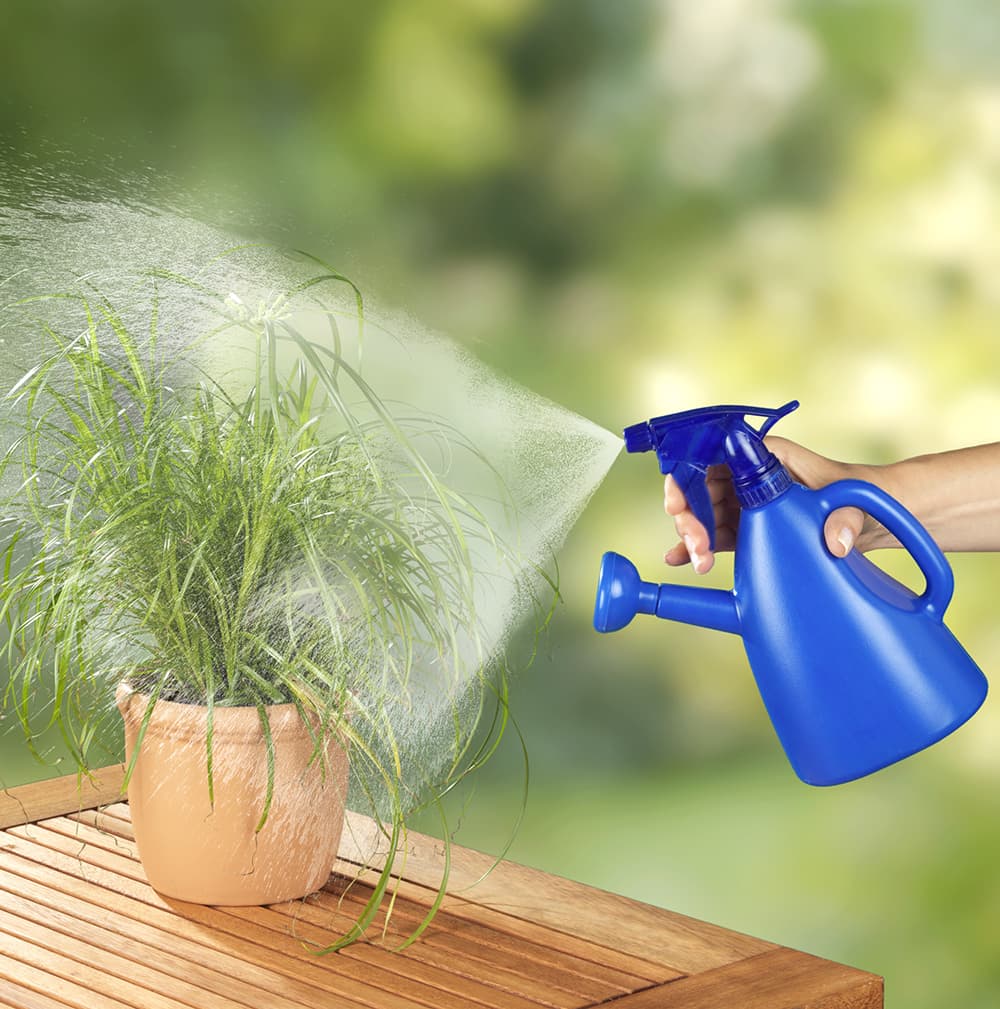 Kantica i sprejer 2 u 1