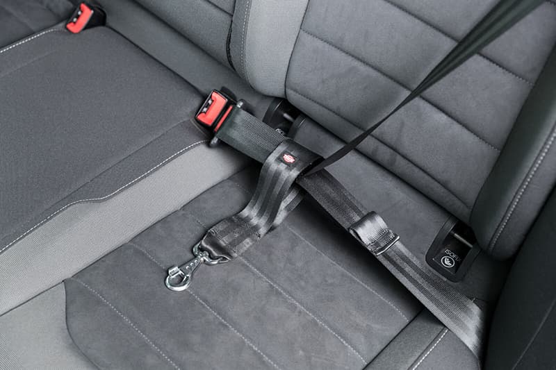 Trixie Univerzalni kratki povodac za pse za auto 12773