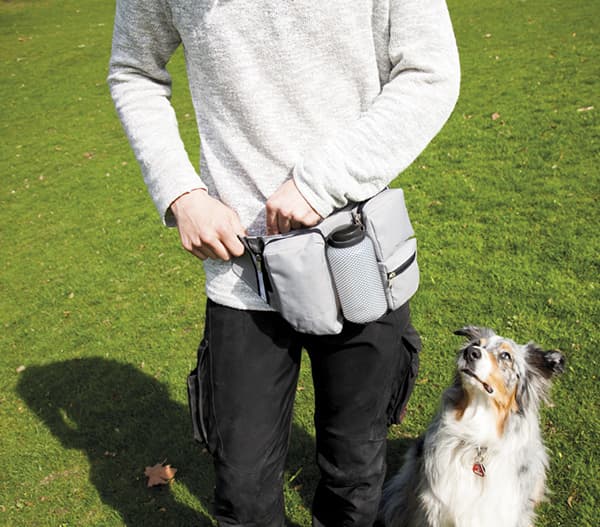 Pojas za šetnju sa psom Walk Nobby 78563