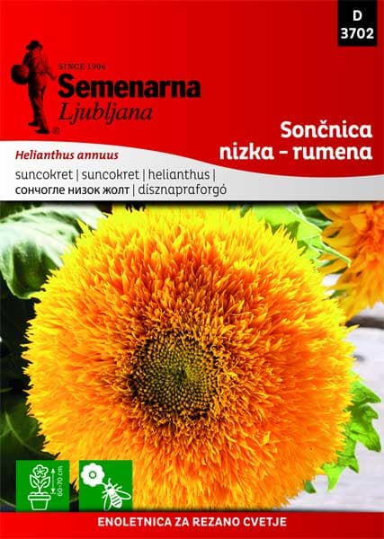 Seme za cveće - Suncokret niski žuti - Helianthus annuus 3702