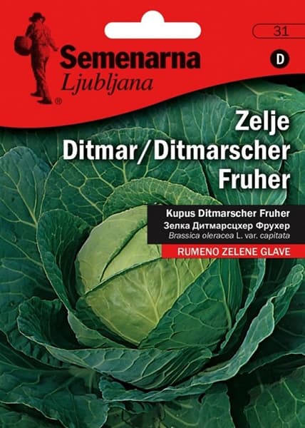 Povrće - seme - Kupus Ditmar - Brassica oleracea var. capitata L.- 31 